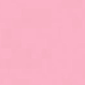 Meet your Posher, Selena